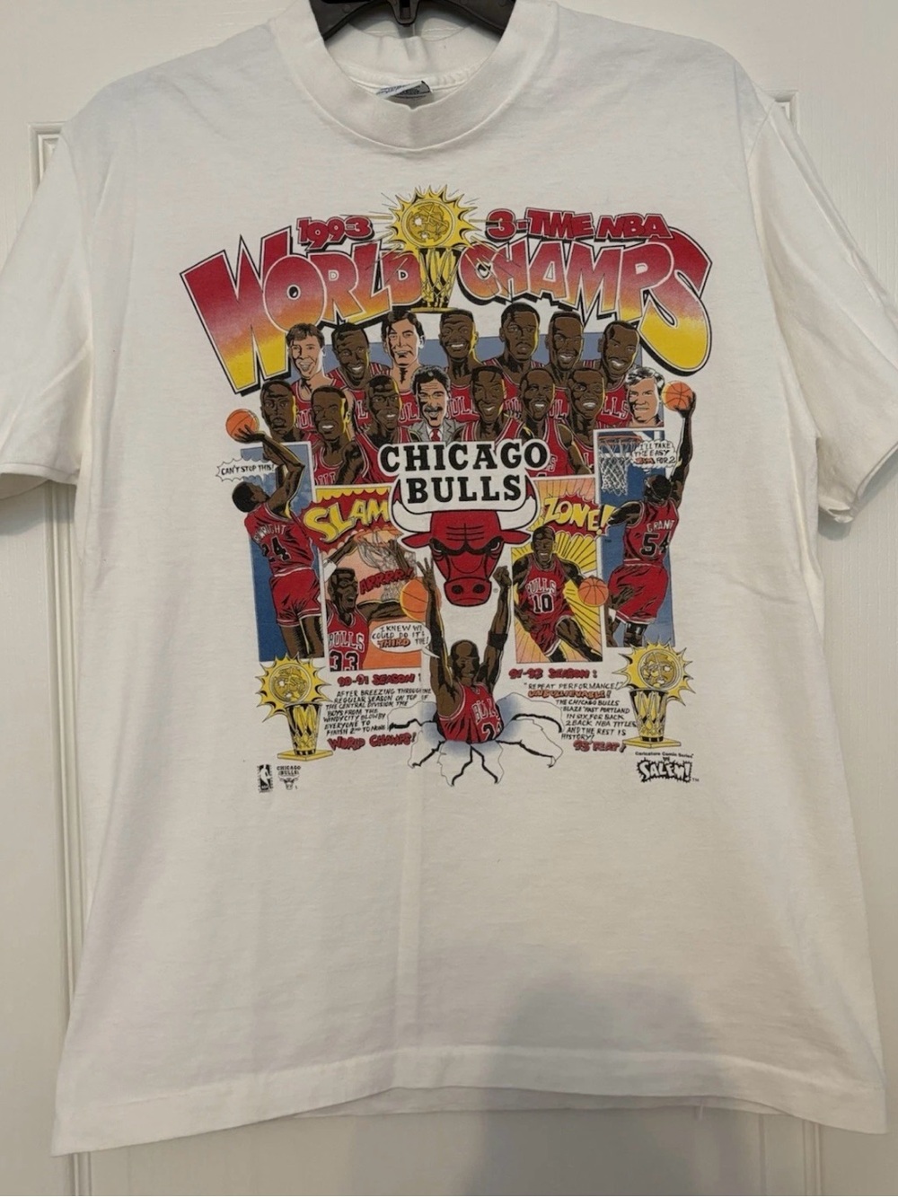 Chicago Bulls White Graphic Short Sleeve Tee - Team World Champs Design